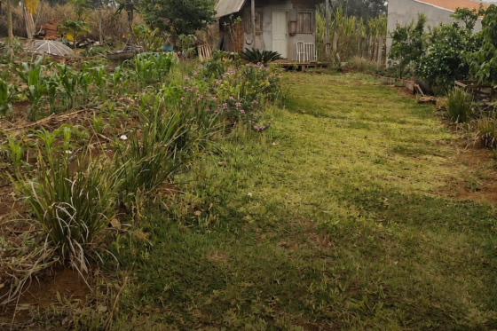 Chácara à venda - 1000.00m² - Zona Rural, Umuarama-PR