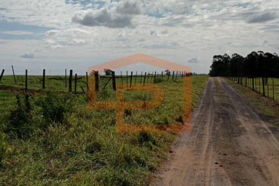 Chácara à venda - 20000.00m² - Zona Rural, Umuarama-PR