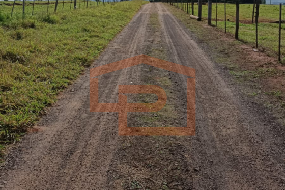 Chácara à venda - 20000.00m² - Zona Rural, Umuarama-PR