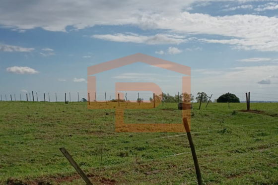 Chácara à venda - 20000.00m² - Zona Rural, Umuarama-PR