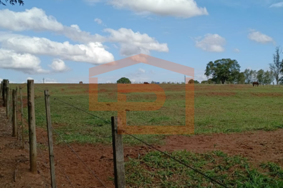 Chácara à venda - 20000.00m² - Zona Rural, Umuarama-PR