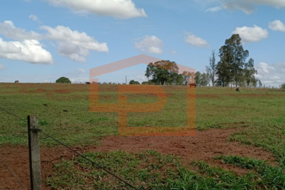 Chácara à venda - 20000.00m² - Zona Rural, Umuarama-PR