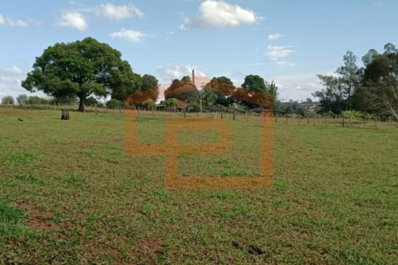 Chácara à venda - 20000.00m² - Zona Rural, Umuarama-PR