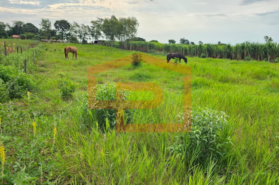 Chácara à venda - 21000.00m² - Zona Rural, Umuarama-PR