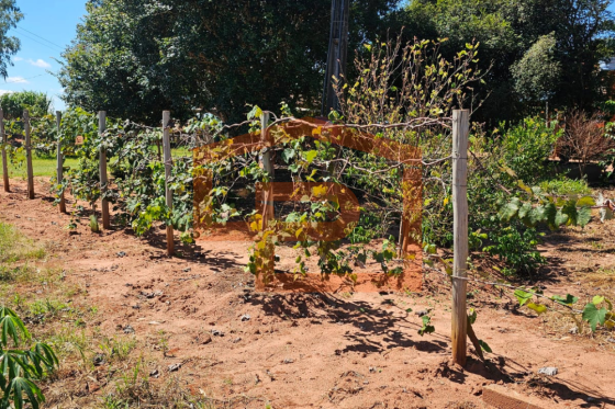 Chácara à venda - 21000.00m² - Zona Rural, Umuarama-PR