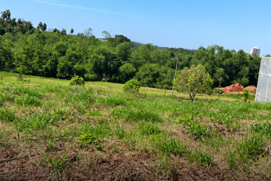 Terreno à venda - 360.00m² - Parque Residencial Monte Líbano, Umuarama-PR 290