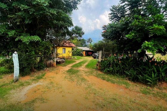 Sítio 0m Pérola-PR 38