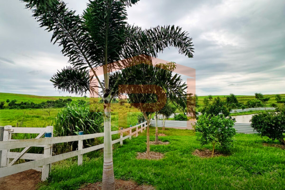 Sítio 0m Ivaté-PR 56