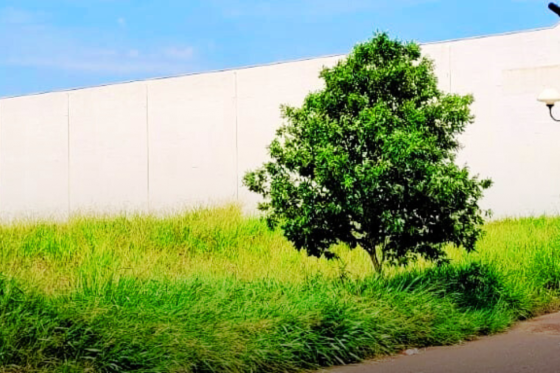 Terreno 615m Umuarama-PR 46